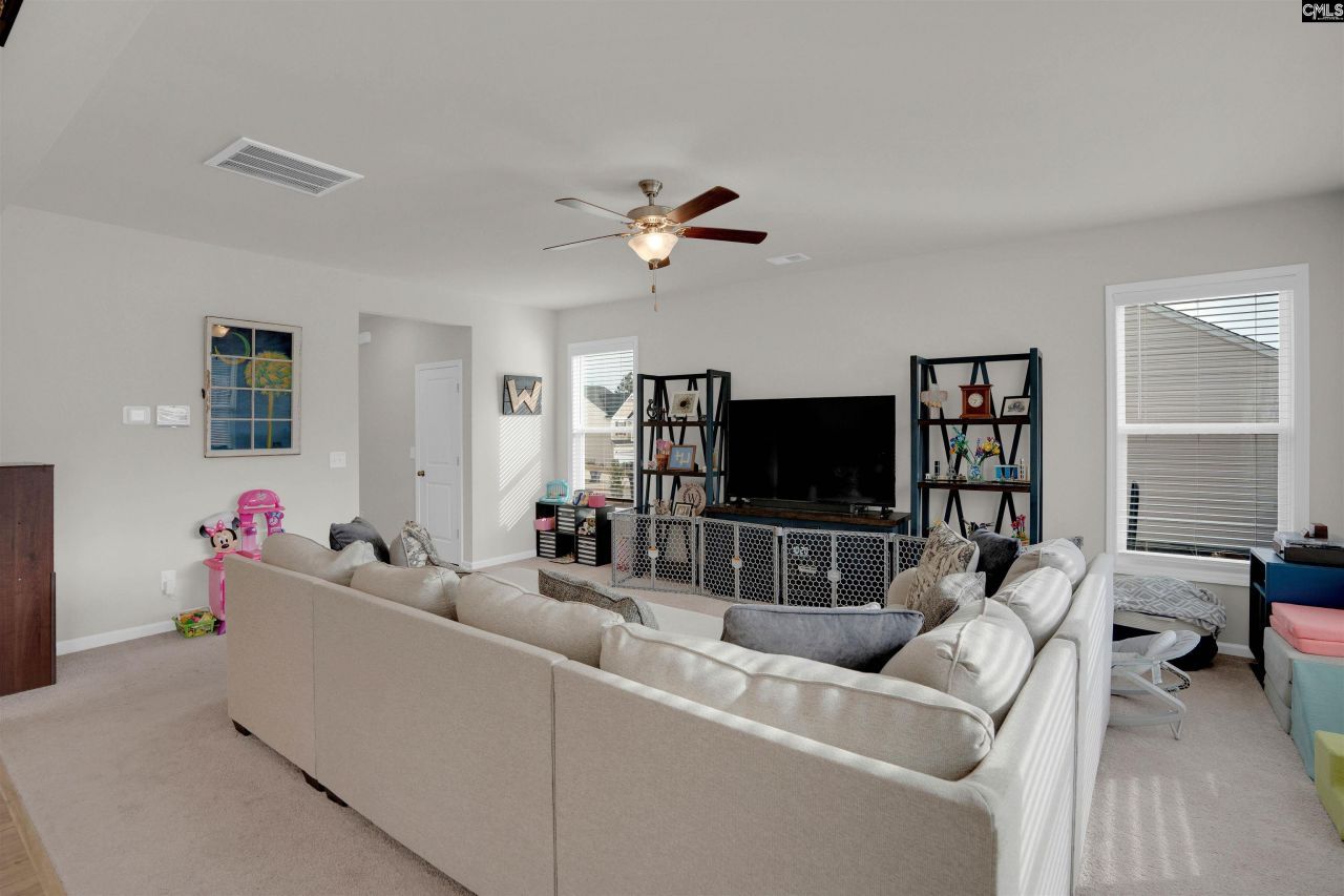 163 Summer Orchard Drive Photo 11