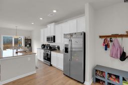 163 Summer Orchard Drive photo 4