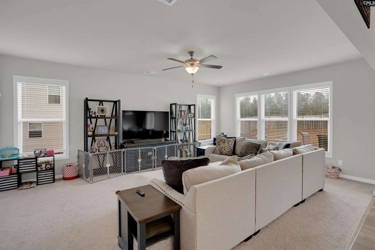 163 Summer Orchard Drive Photo 9