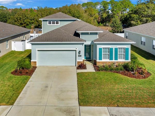 29271 SEDGEWAY BOULEVARD, WESLEY CHAPEL, FL 33544