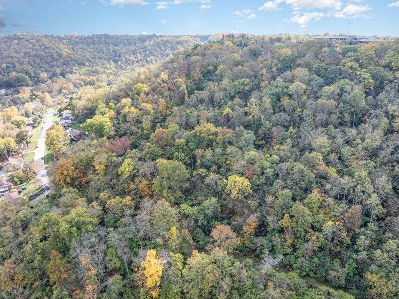 780 Parkview Drive, Taylor Mill, KY 41015 Photo 3