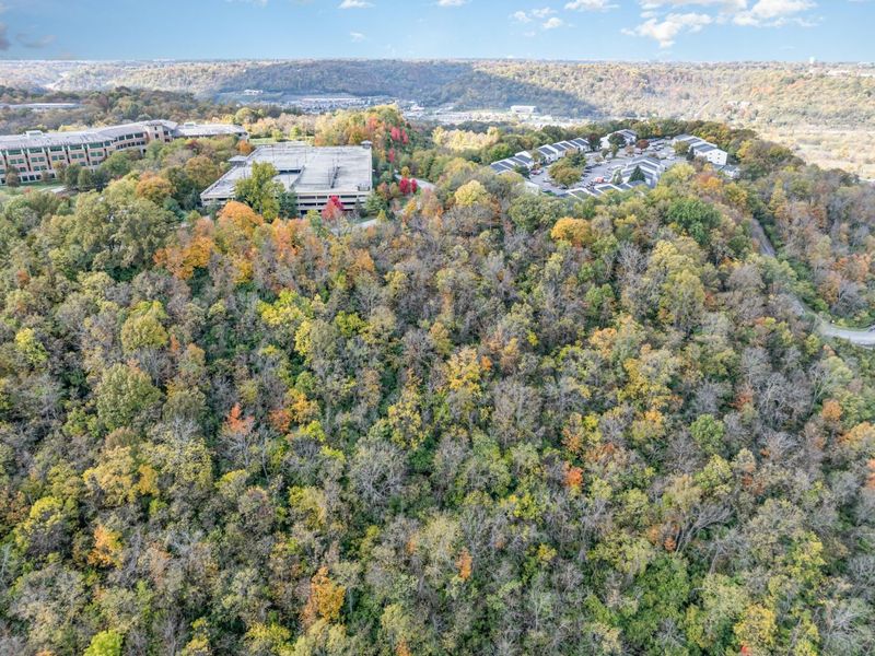 780 Parkview Drive, Taylor Mill, KY 41015 Photo 8