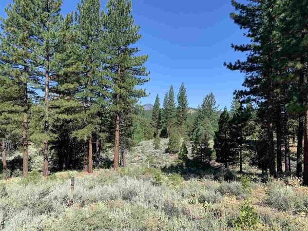 24 Starflower Drive, Portola, CA 96122