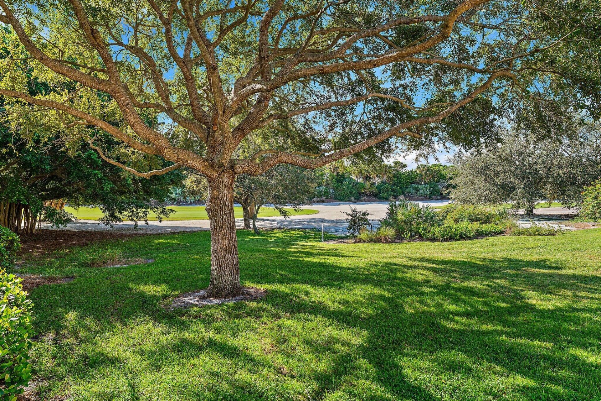 12020 SE Birkdale Run, Jupiter, FL 33469 Photo