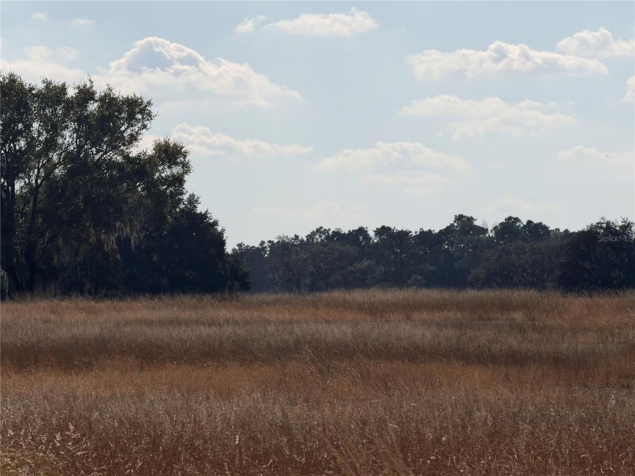 Lake Erie Road, Groveland, FL 34736 Photo