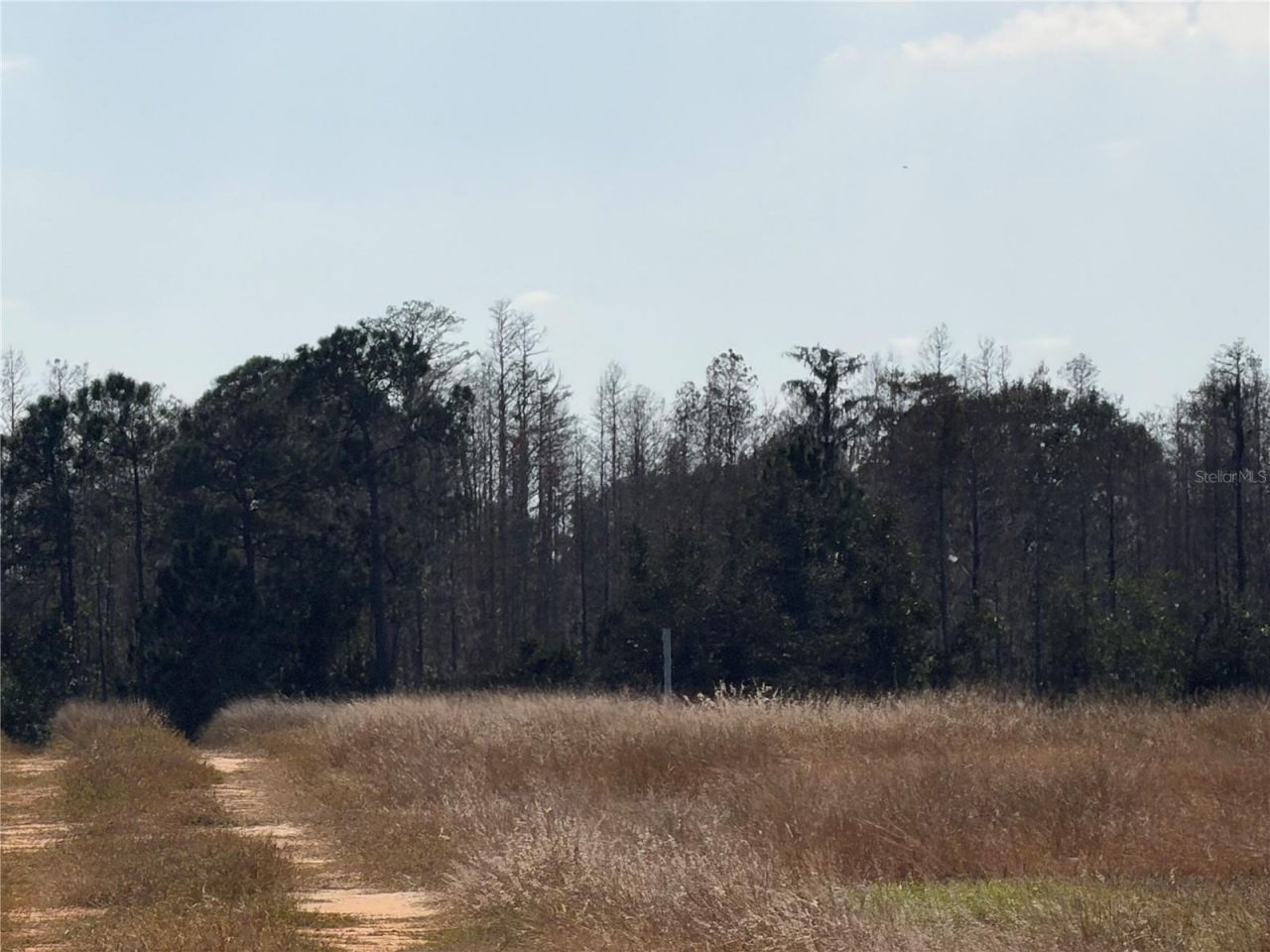 Lake Erie Road, Groveland, FL 34736 Photo