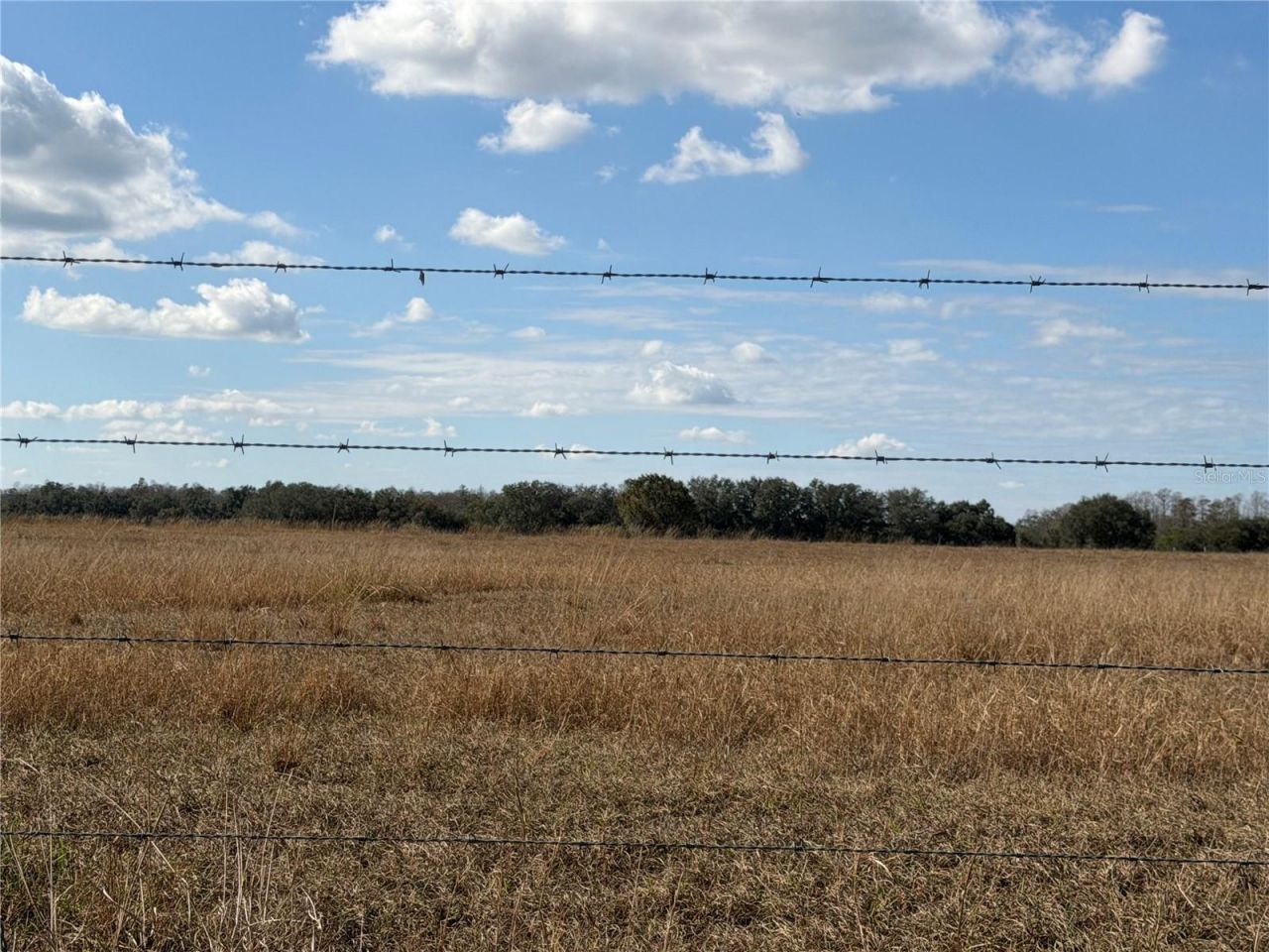 Lake Erie Road, Groveland, FL 34736 Photo