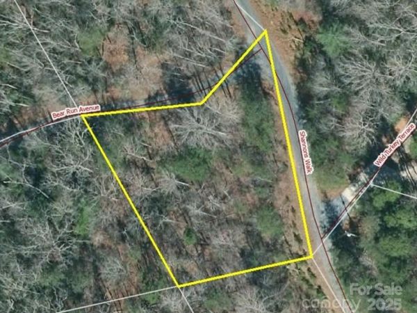 000 Bear Run Avenue, Lake Lure, NC 28746