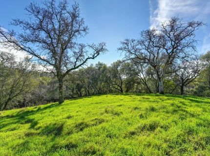 3900 Cold Stream Rd, Auburn, CA 95602 Photo