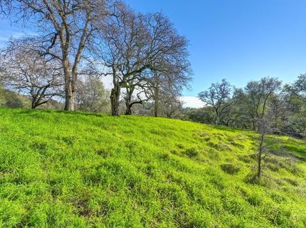 3900 Cold Stream Rd, Auburn, CA 95602 Photo