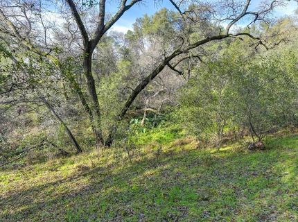 3900 Cold Stream Rd, Auburn, CA 95602 Photo