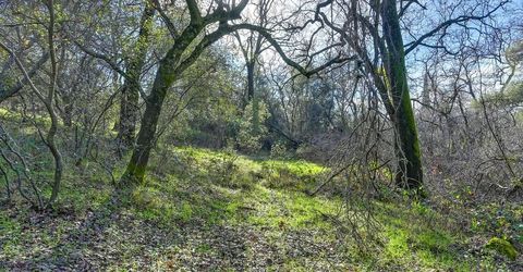 3900 Cold Stream Rd, Auburn, CA 95602 Photo