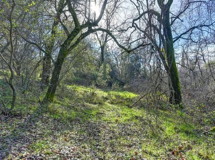 3900 Cold Stream Rd, Auburn, CA 95602 Photo