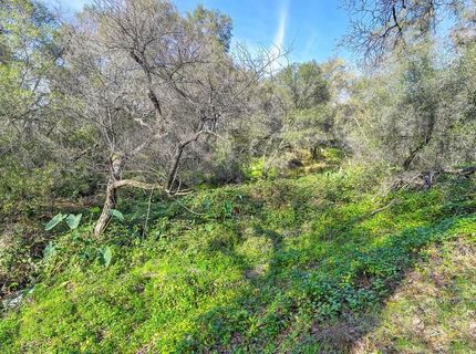 3900 Cold Stream Rd, Auburn, CA 95602 Photo