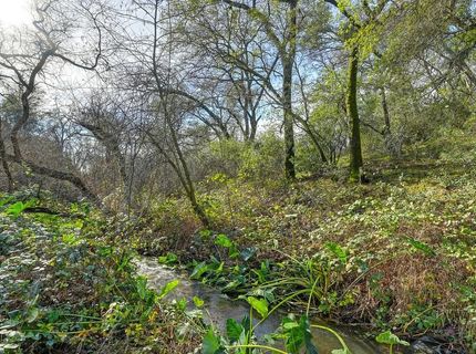 3900 Cold Stream Rd, Auburn, CA 95602 Photo