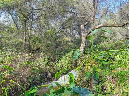 3900 Cold Stream Rd, Auburn, CA 95602 Photo