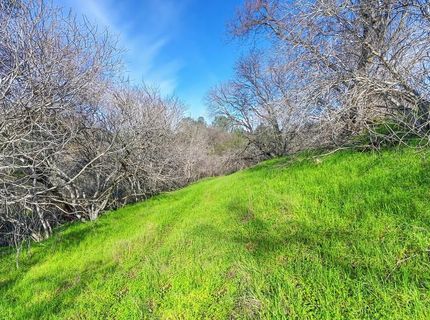 3900 Cold Stream Rd, Auburn, CA 95602 Photo
