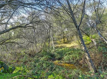3900 Cold Stream Rd, Auburn, CA 95602 Photo
