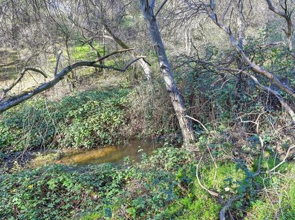 3900 Cold Stream Rd, Auburn, CA 95602 Photo