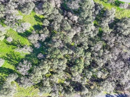 3900 Cold Stream Rd, Auburn, CA 95602 Photo