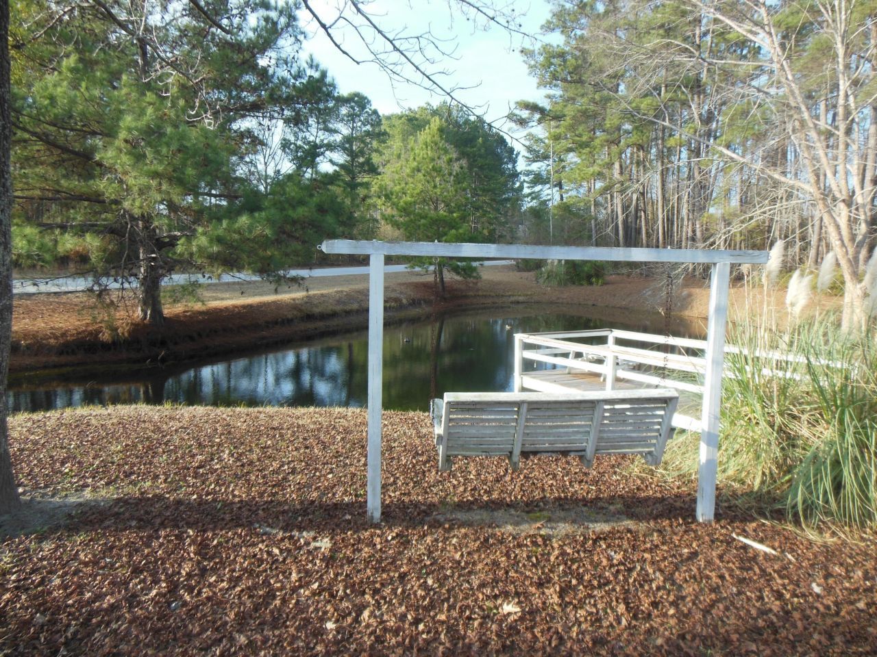 133 Banning Street Photo 11