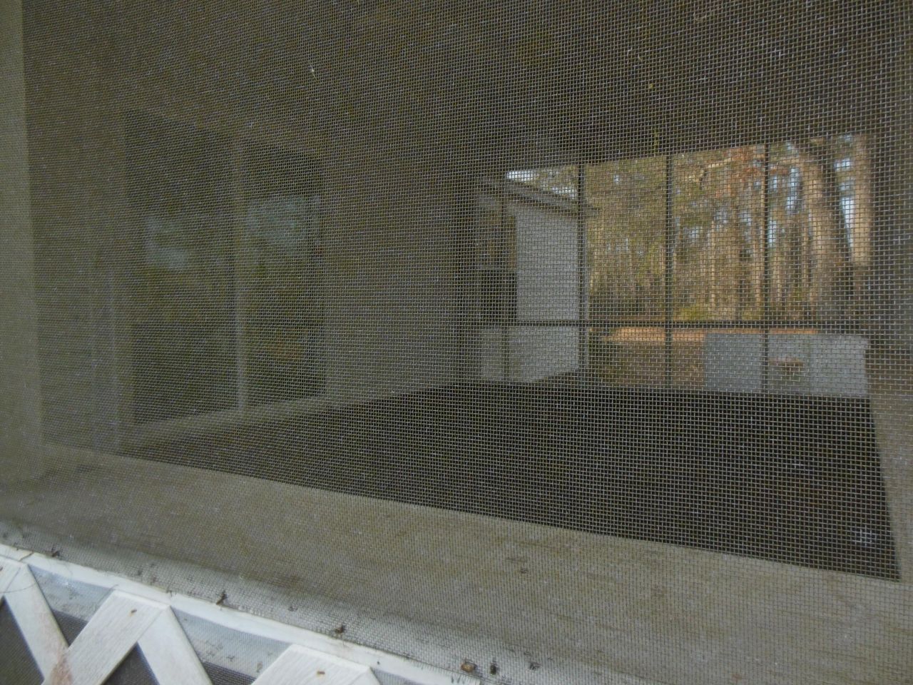 133 Banning Street Photo 6