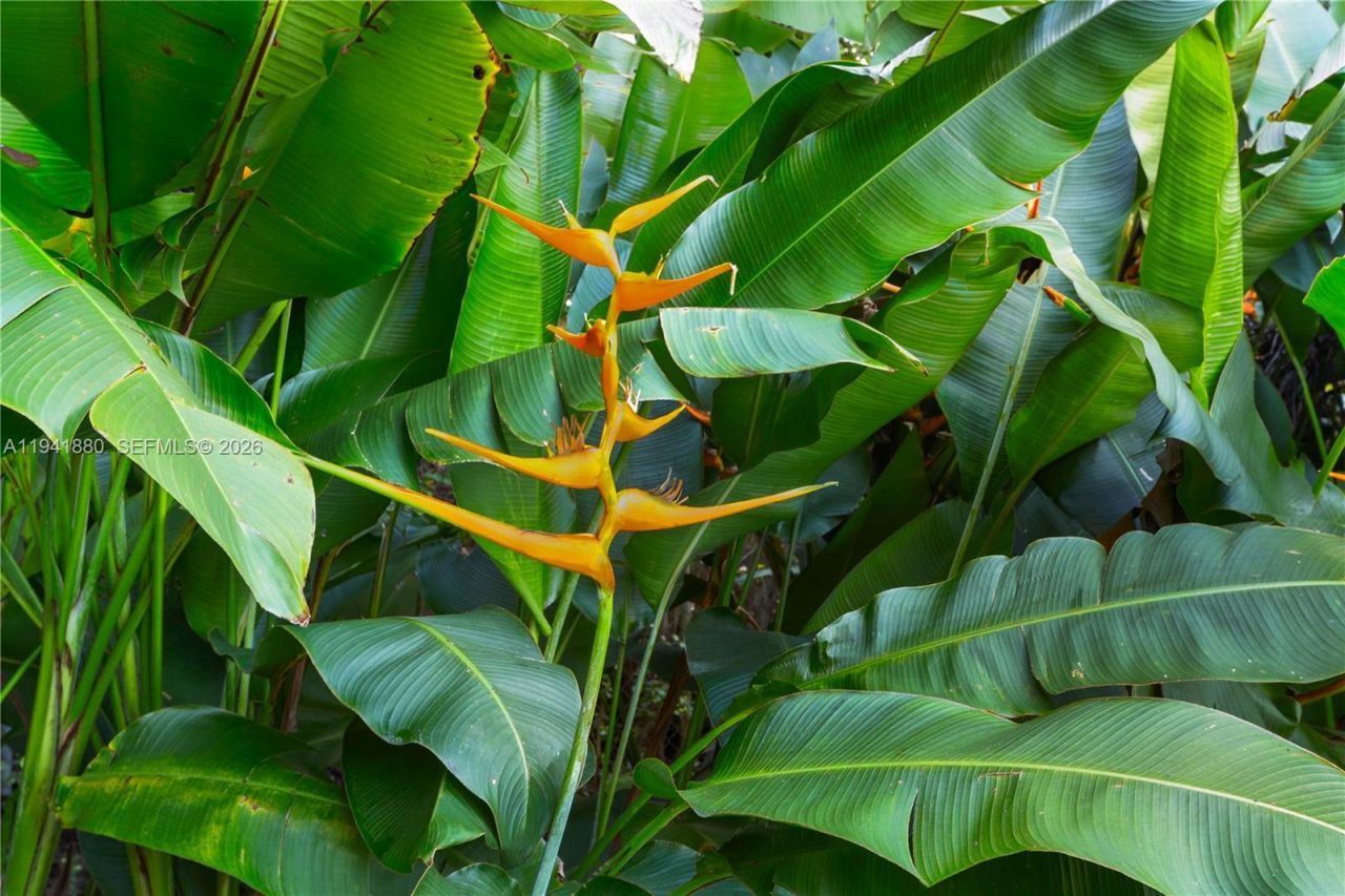 1901 Country Club Prado, Coral Gables, FL 33134 Photo