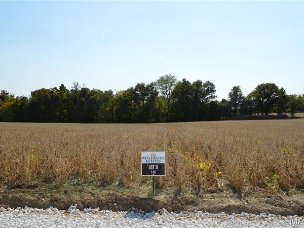 11302 Windsor Place, Wright City, MO 63390