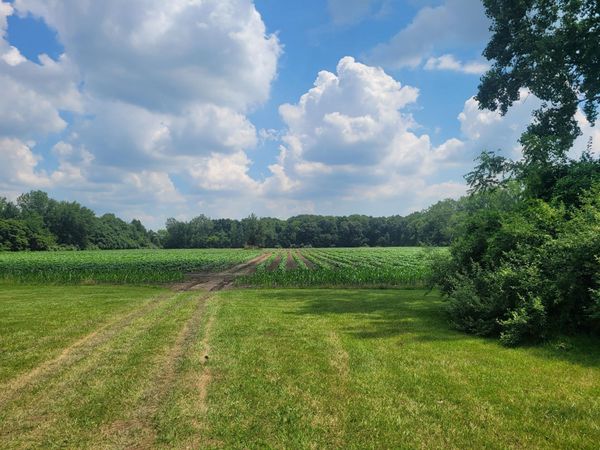 15715 Merriman Road, Romulus, MI 48174