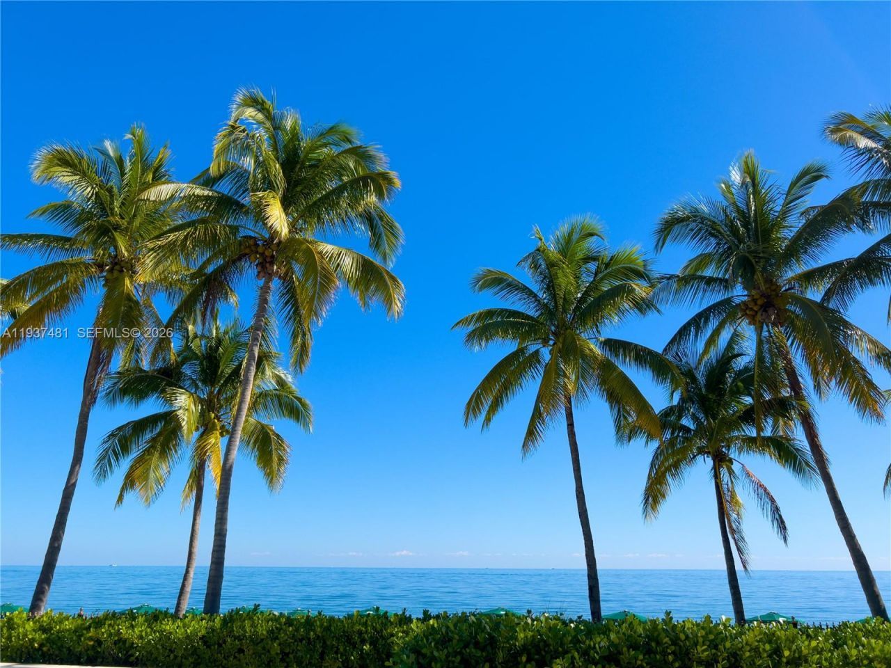 781 Crandon Blvd, Unit 804, Key Biscayne, FL 33149 Photo