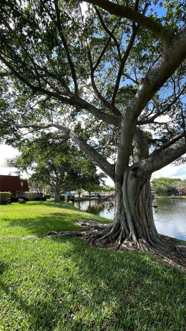 9977 NW 6th Ct, Unit 9977, Plantation, FL 33324 Photo