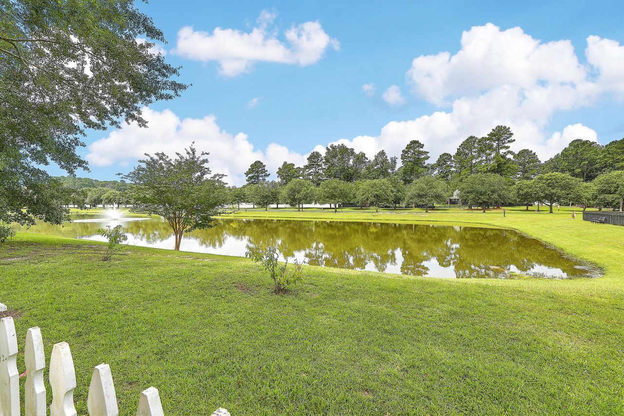 8983 Planters Row Lane Photo 28