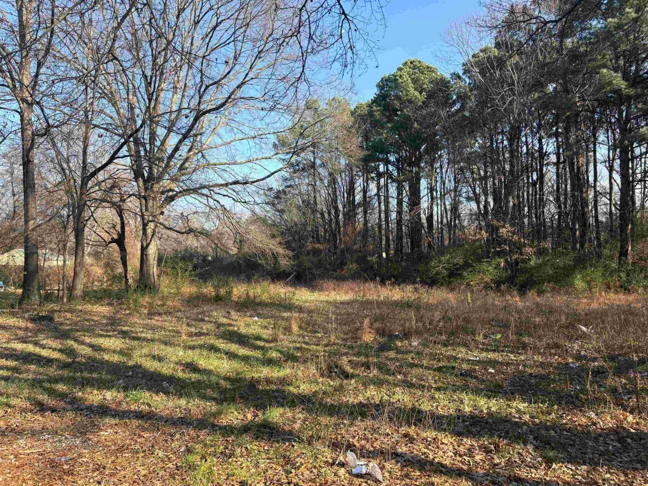 0 Mary Dr, Memphis, TN 38111 Main Photo