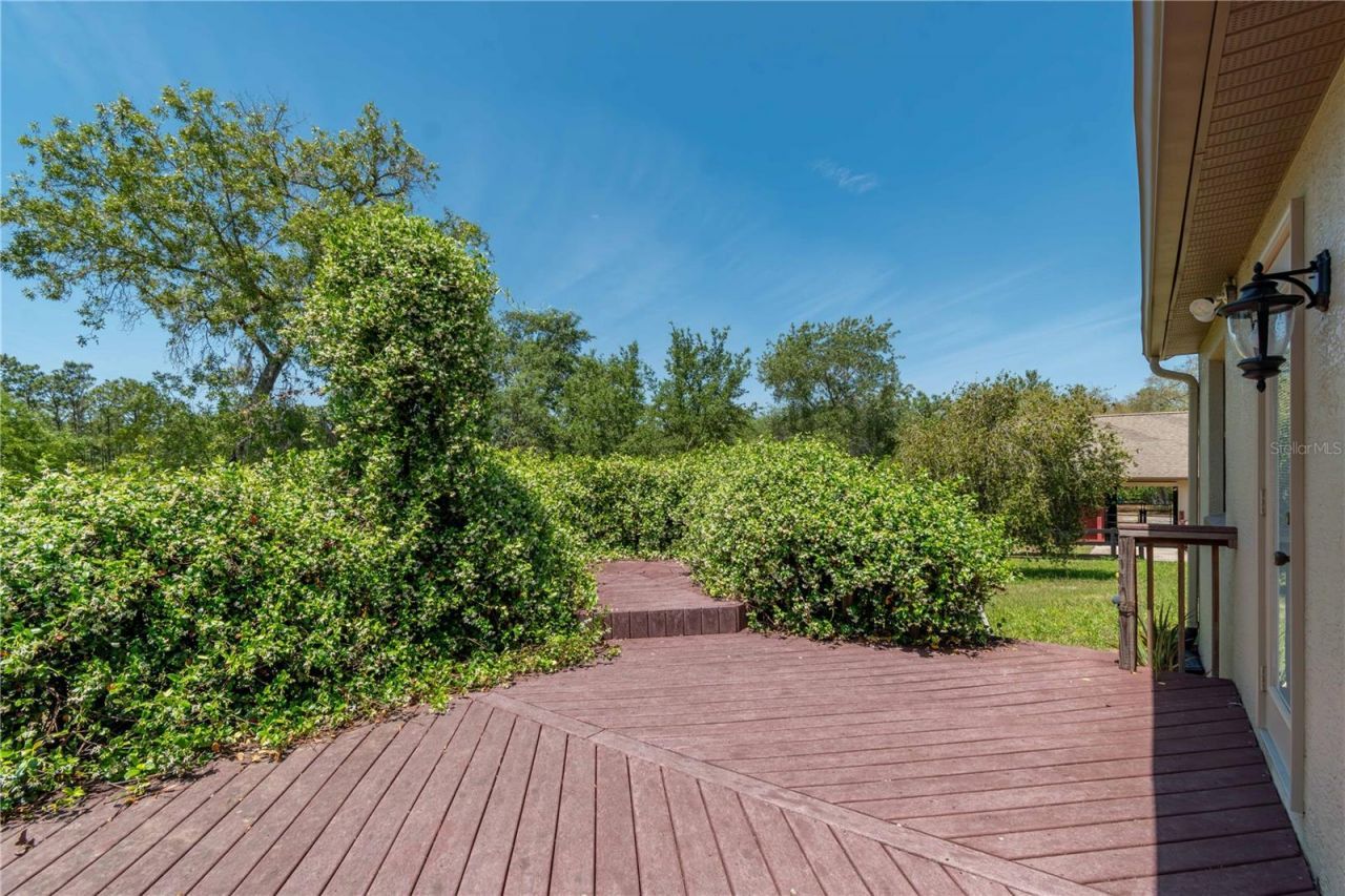 3428 N Bravo Drive, Beverly Hills, FL 34465 Photo