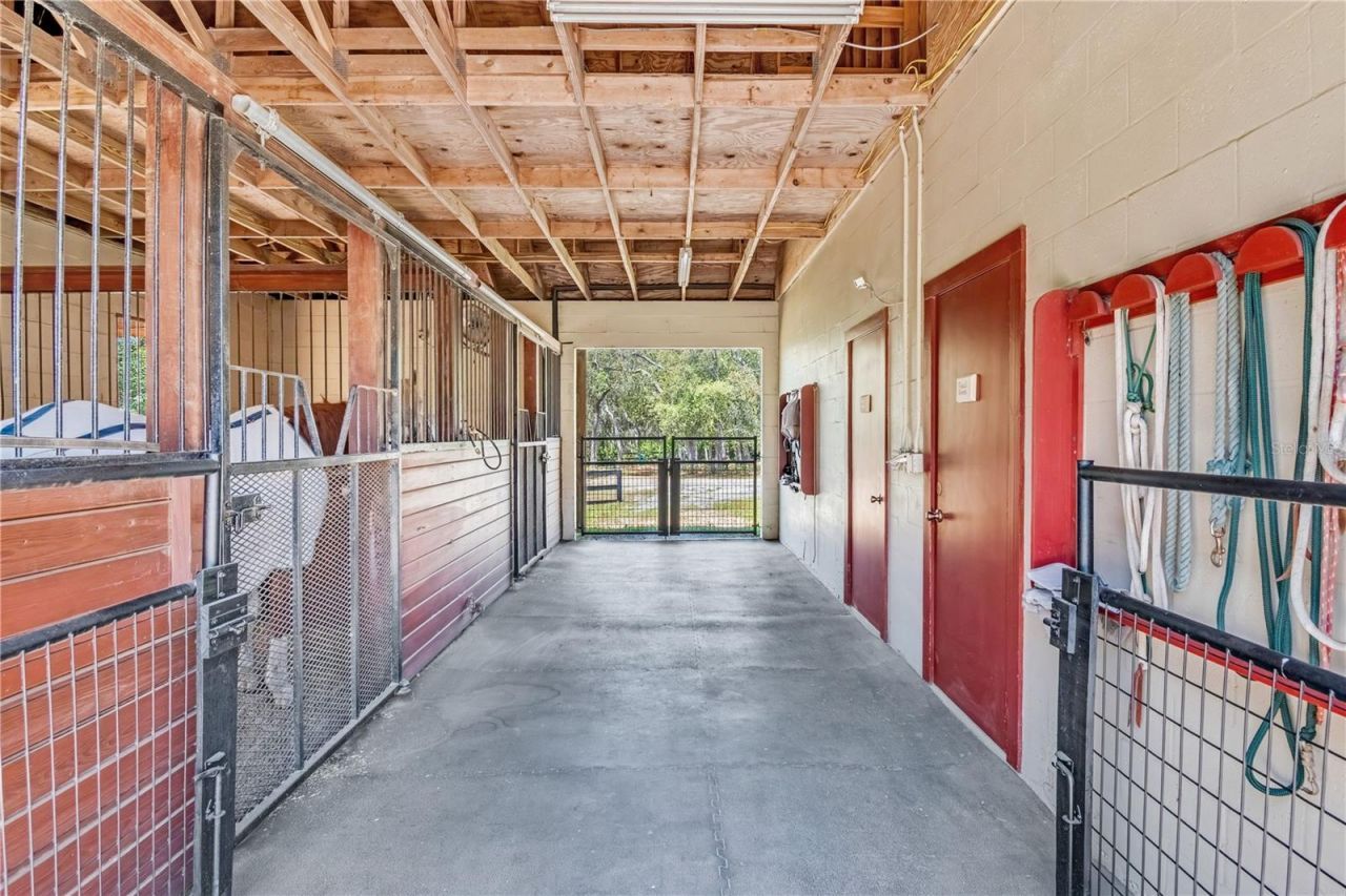 3428 N Bravo Drive, Beverly Hills, FL 34465 Photo