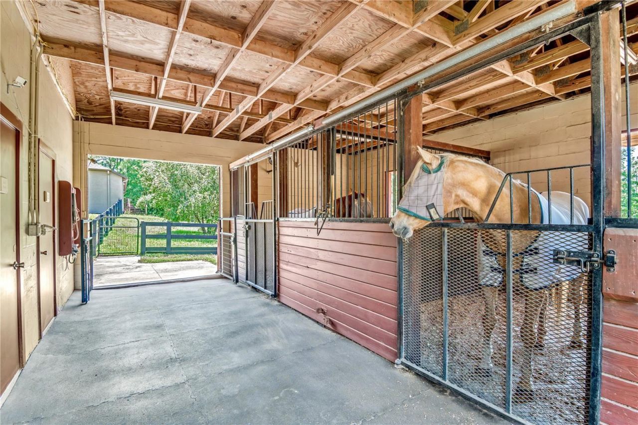 3428 N Bravo Drive, Beverly Hills, FL 34465 Photo