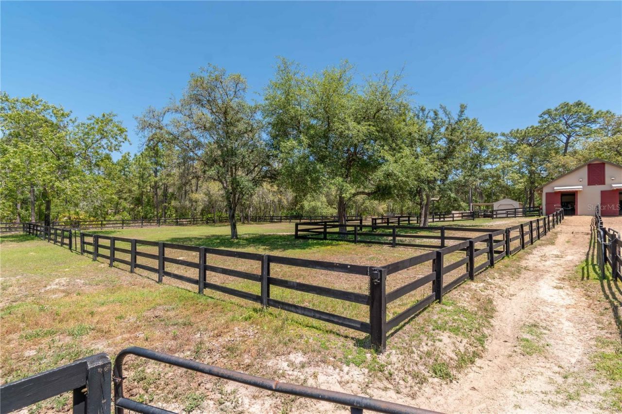 3428 N Bravo Drive, Beverly Hills, FL 34465 Photo