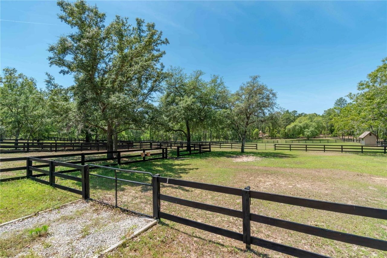 3428 N Bravo Drive, Beverly Hills, FL 34465 Photo