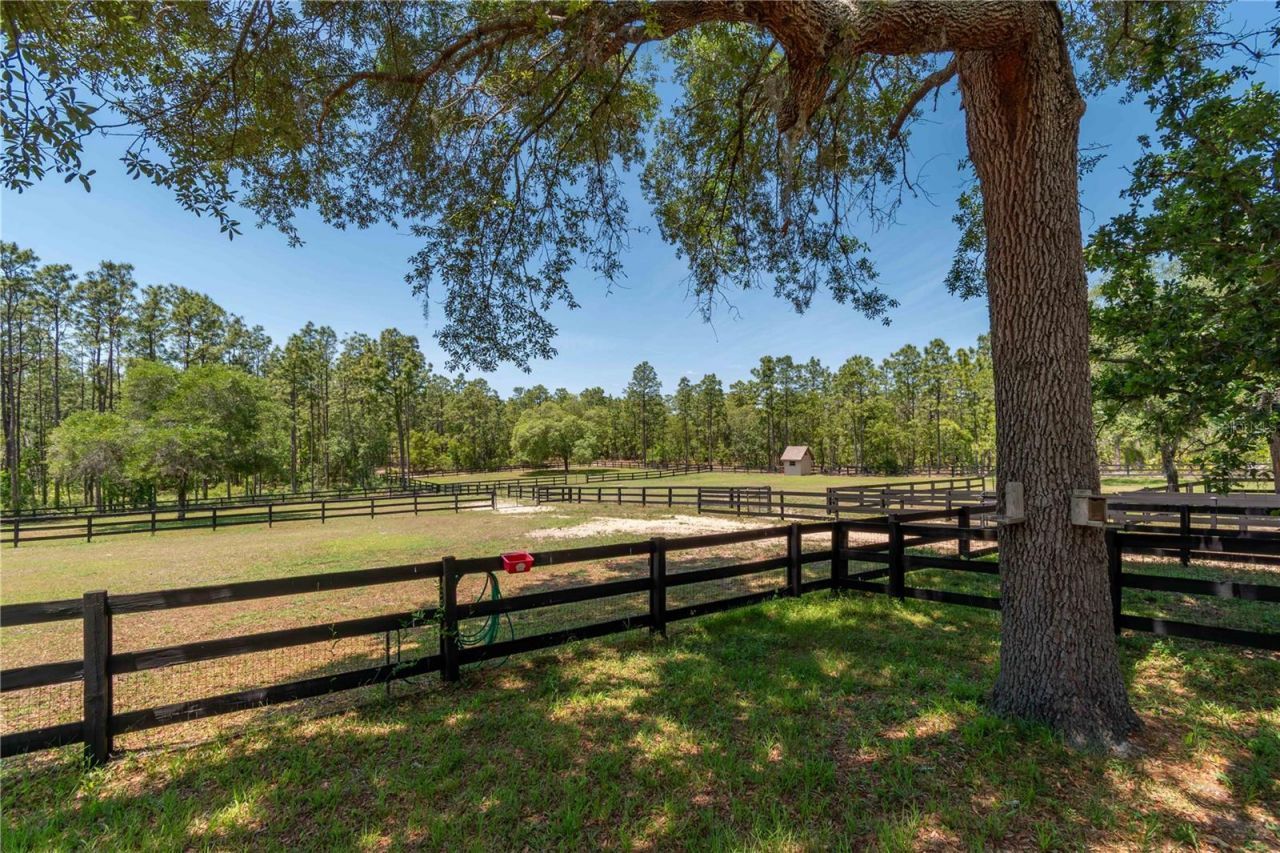 3428 N Bravo Drive, Beverly Hills, FL 34465 Photo