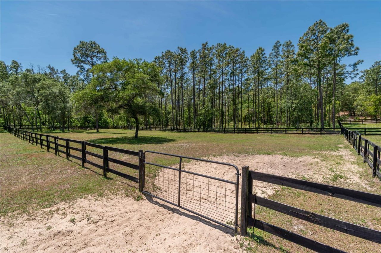 3428 N Bravo Drive, Beverly Hills, FL 34465 Photo