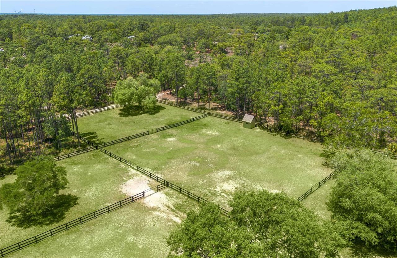 3428 N Bravo Drive, Beverly Hills, FL 34465 Photo