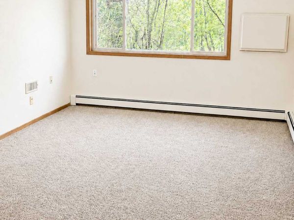 6717 Old Sawmill Road, Unit 101, Harris, MN 55032