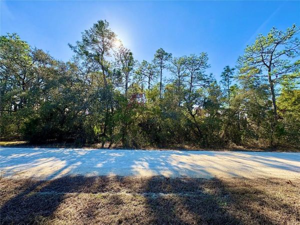 9164 BIRMINGHAM AVENUE, WEEKI WACHEE, FL 34613