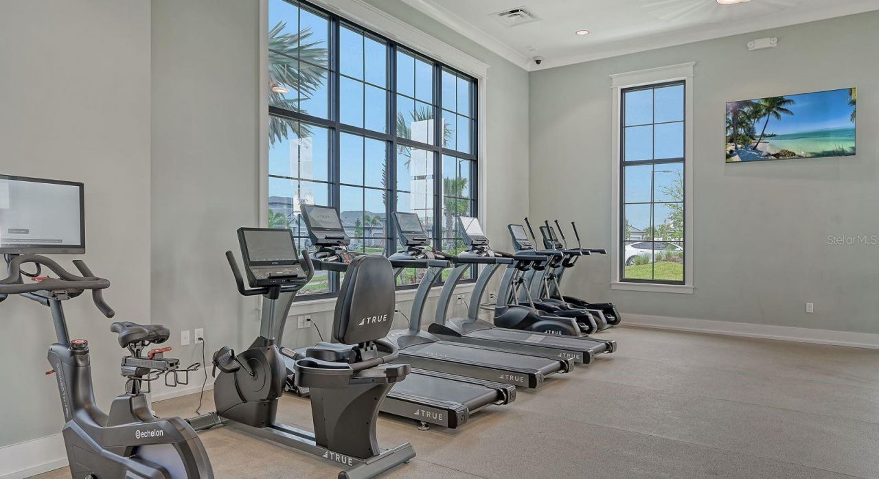 17543 Savory Mist Circle, Bradenton, FL 34211 Photo