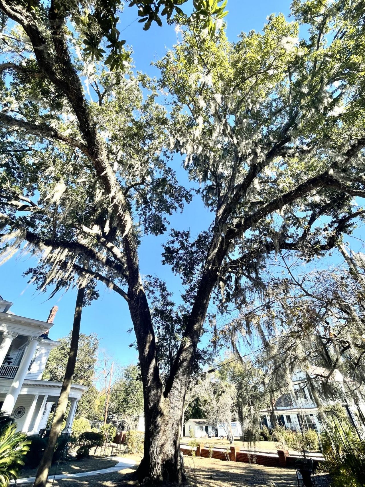 919 Wichman Street Photo 62