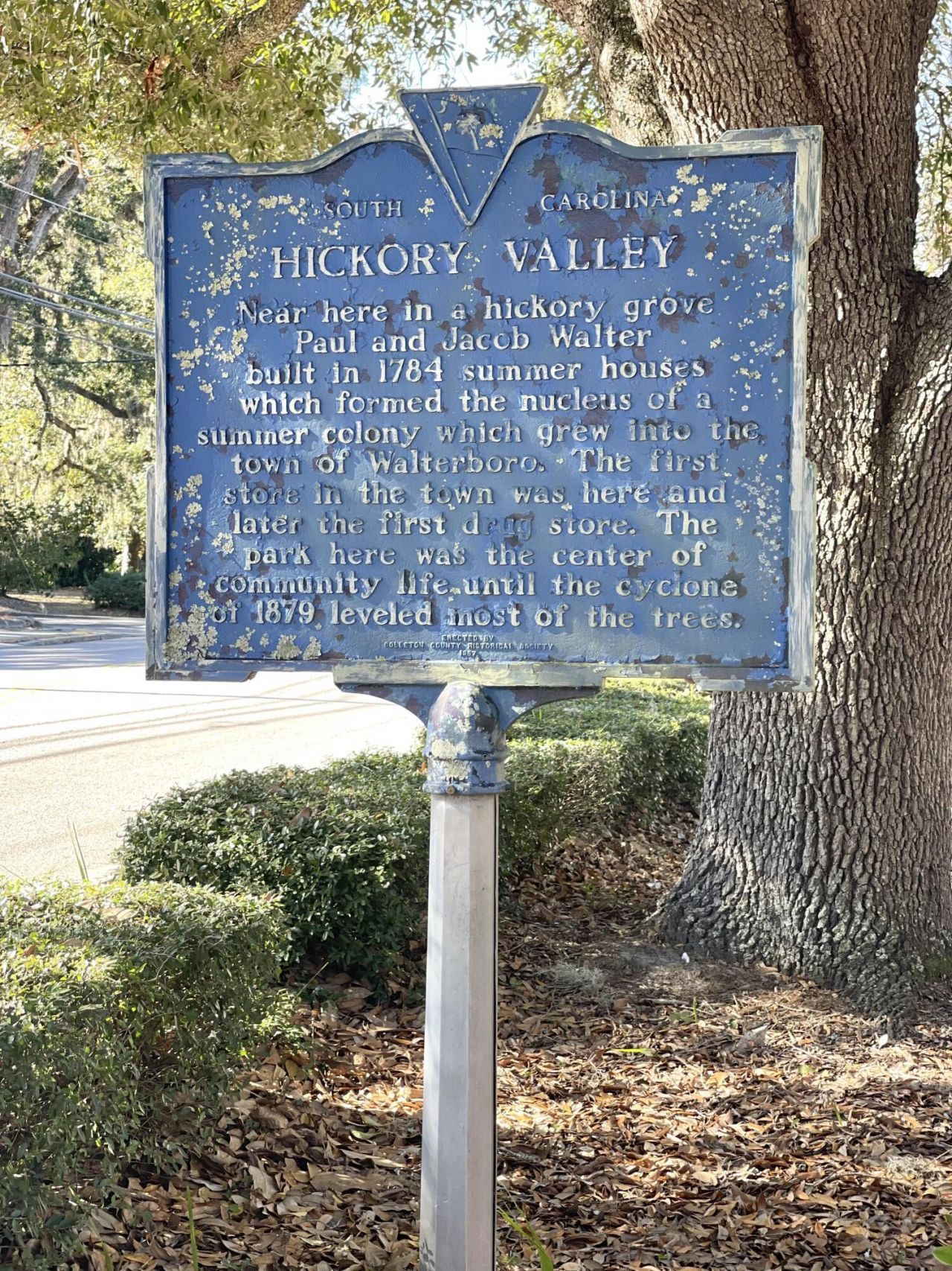 919 Wichman Street Photo 74