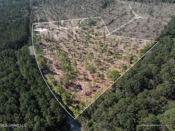 16.36 +/- Acres Noel Townsend Road, Seminary, MS 39479