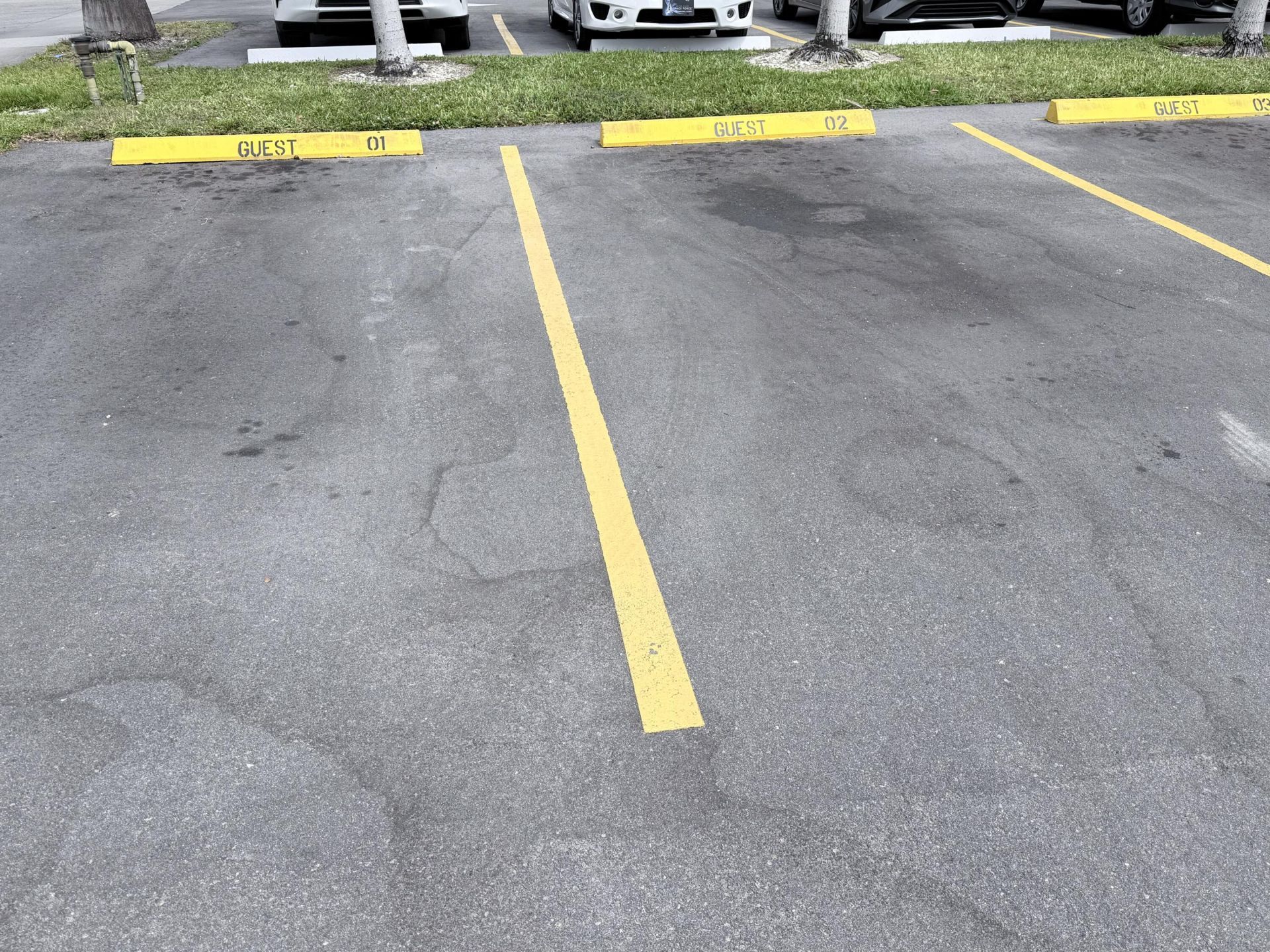 1000 NE 14th Avenue, Unit 503, Hallandale Beach, FL 33009 Photo