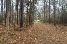 2437 Cape Road photo 4