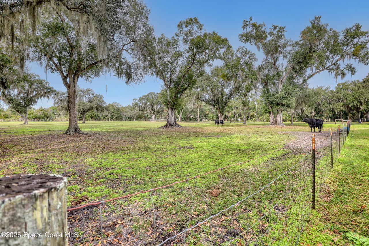 7080 Briar Oak Drive, Merritt Island, FL 32953 Photo